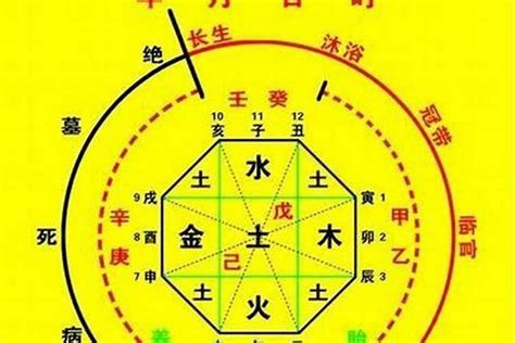 八字喜水木|喜用神为水木什么意思，八字喜水木适合工作